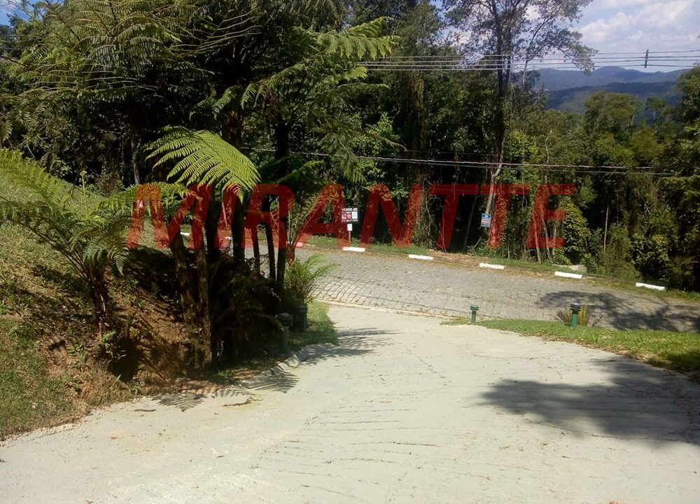 40d4b8e4b984d93f206b42297f9bfef6