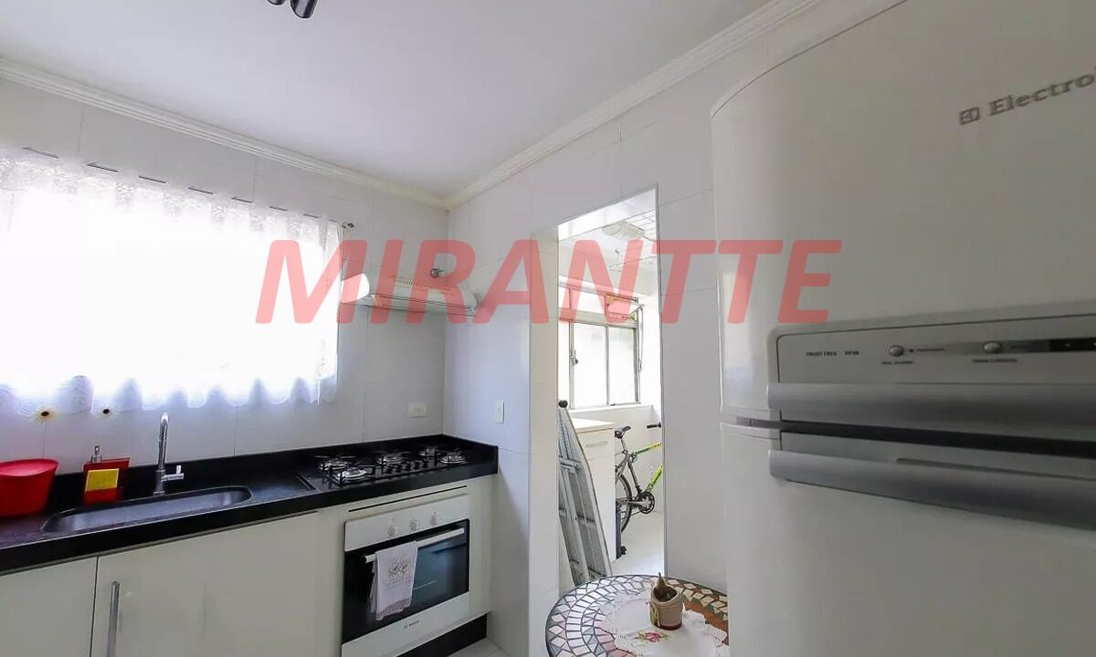 40d8f48c81be22b9aa4066ce5fc9028f