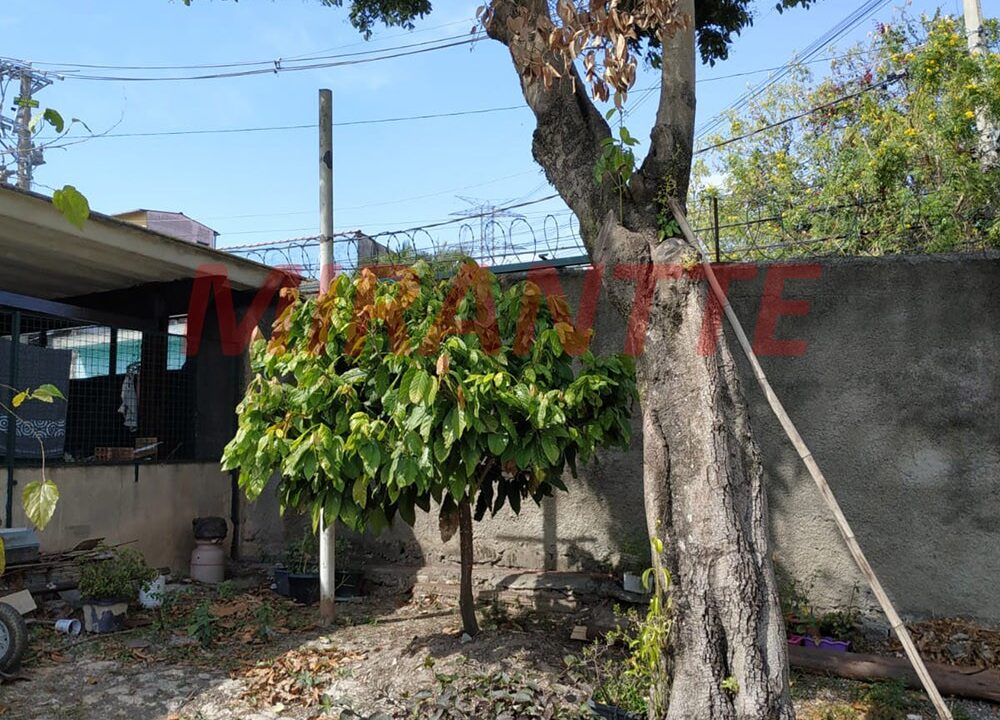 0114100aff3c4da429fb32d6253031f0