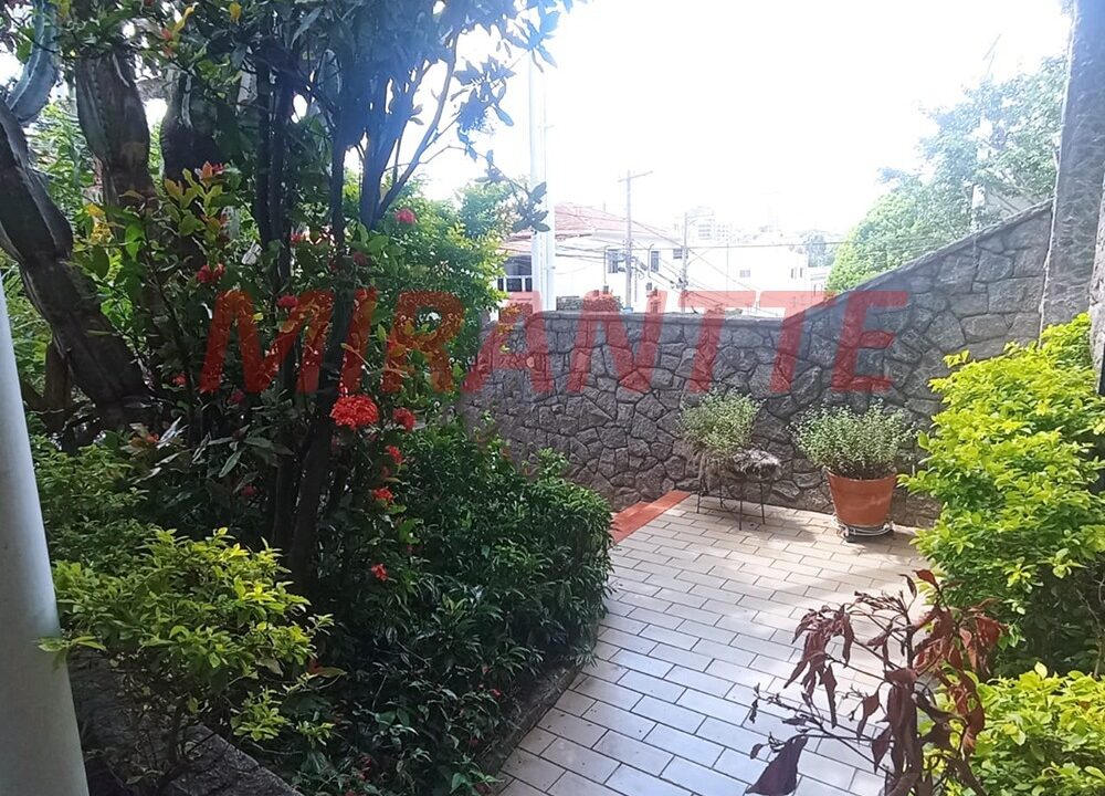 06ee2947cd44a4758825e5b656db999c