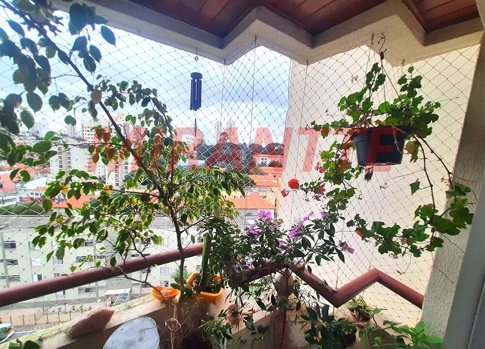 33a032c1e47f0ea2c2a9e9c2b4960367