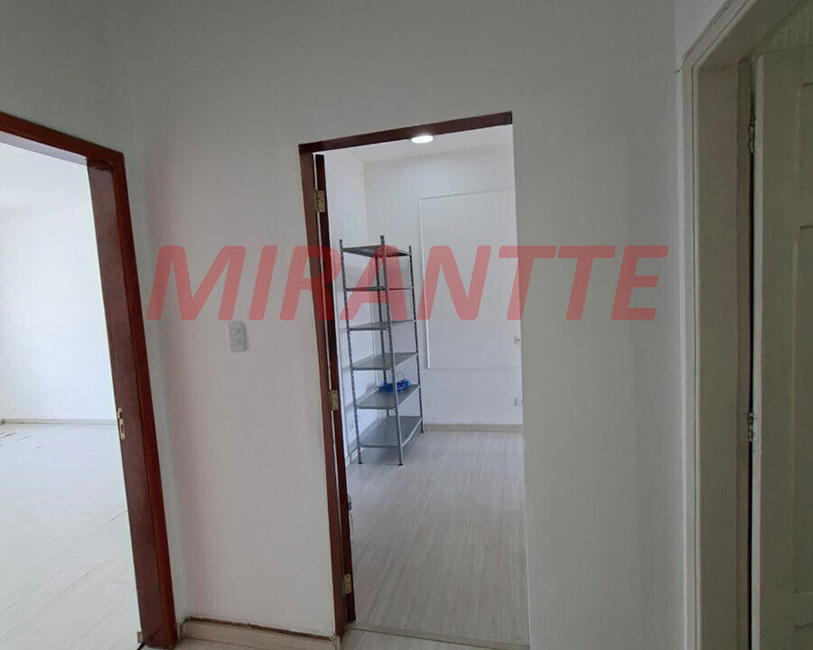 407dcb8af8385404a3a55e5407f88696