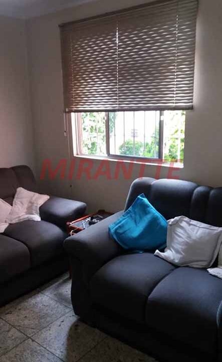 55017656dca29536c041de5cea75ee0d