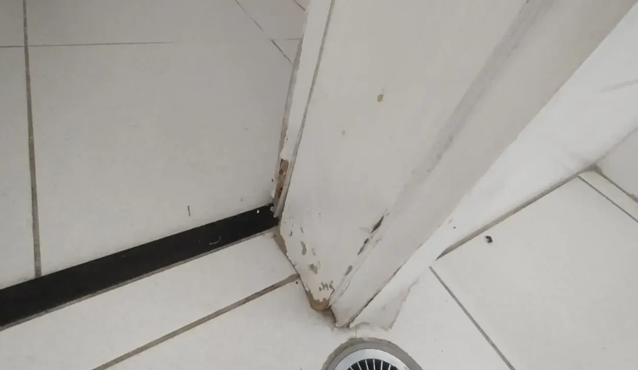 83a4b9c1387ebc8fee160927f3ab258a-apartamento-com-4-quartos-a-venda-100m-no-vila-mariana-sao-paulo