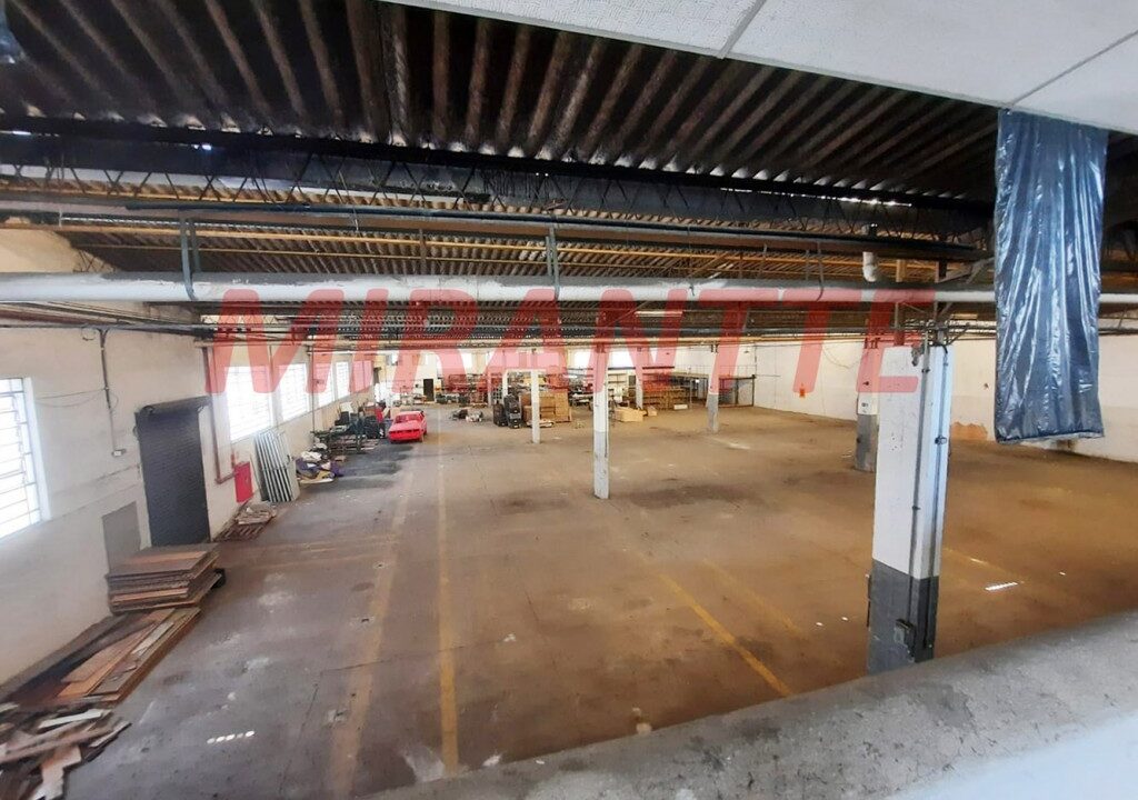 8dd02b88be303bd6f3b9e36b9d8088e9