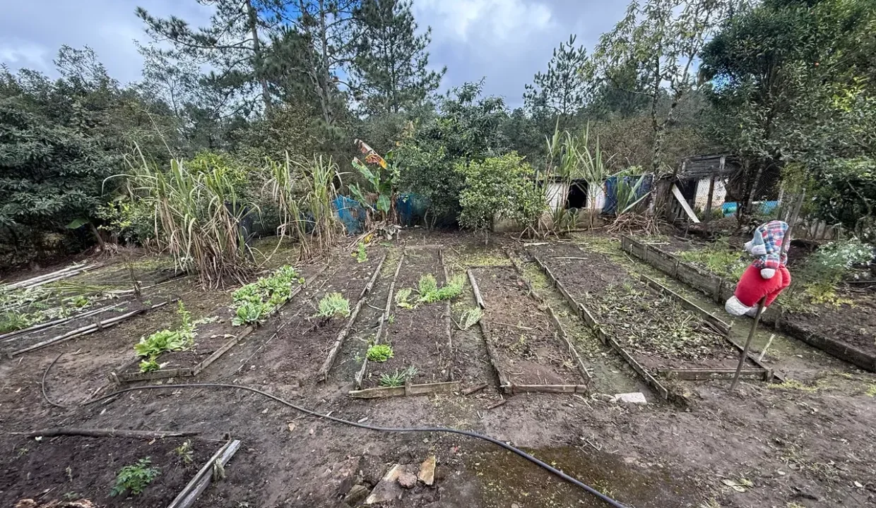 c138760fa8e8aa28890d8c435cf09849-fazendasitio-com-3-quartos-a-venda-170m-no-jardim-dos-eucaliptos-sao-paulo