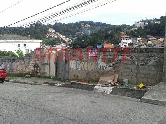 Terreno de 1000m² em Vila Albertina