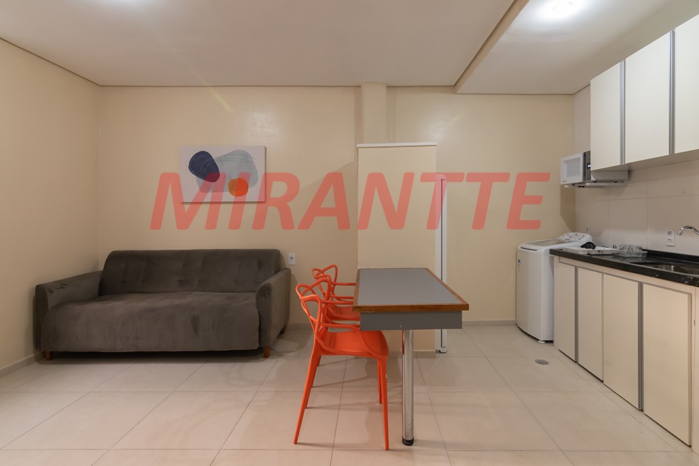Apartamento de 48m² com 2 quartos em Santa Efigenia